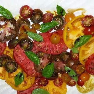 Meet your Posher, Darcy